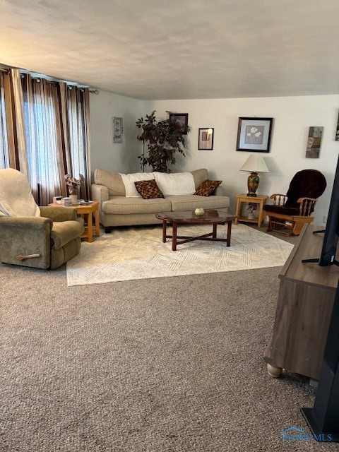 511 Haig Street, Defiance, Ohio image 3