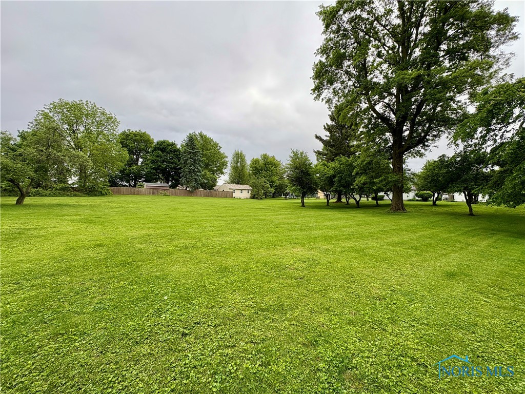 1119 Earl Street, Toledo, Ohio image 29