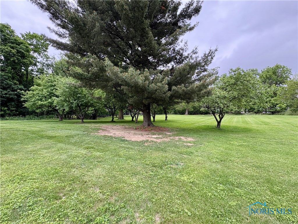 1119 Earl Street, Toledo, Ohio image 32