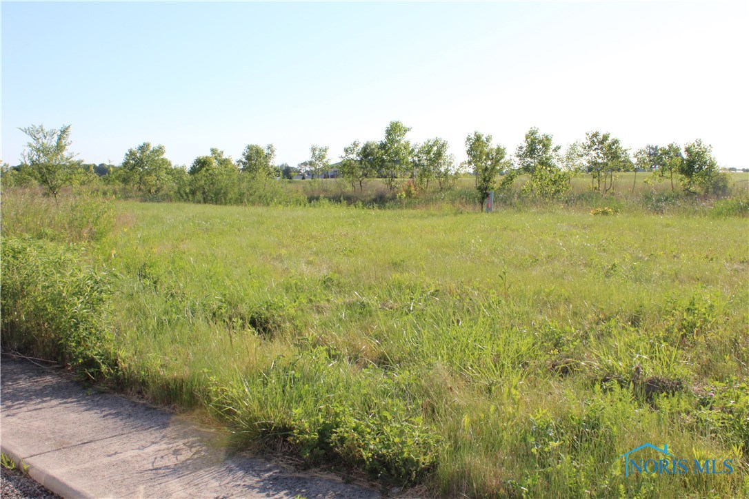 County Hwy. 182 Road, Upper Sandusky, Ohio image 7