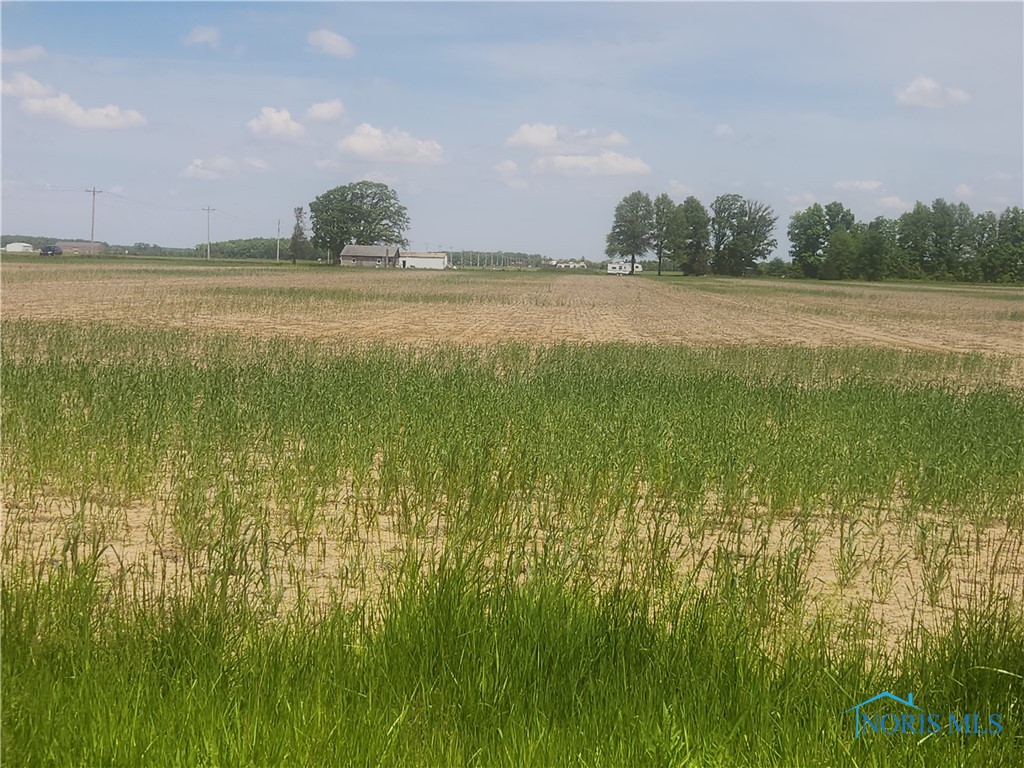 Road 111, Paulding, Ohio image 1