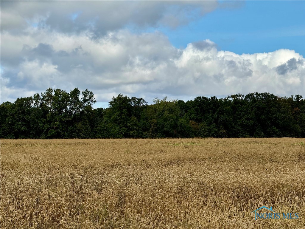 Switzer Road, Defiance, Ohio image 5