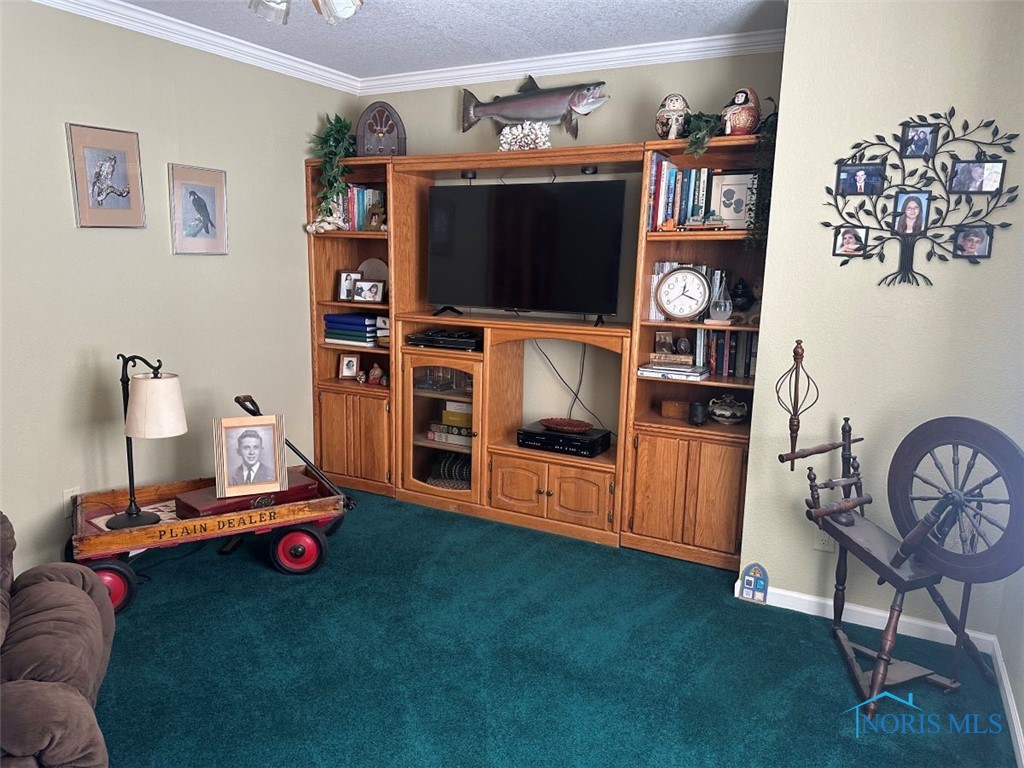 7300 County Road B, Delta, Ohio image 37