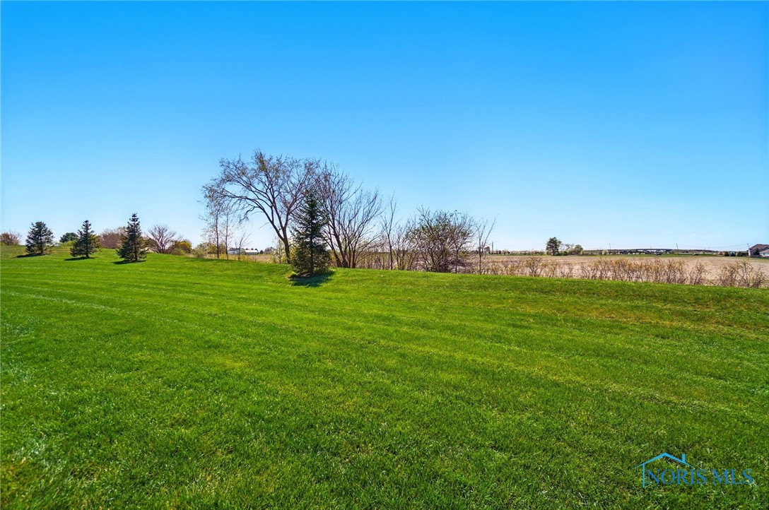 26231 Turnbridge Drive, Perrysburg, Ohio image 29