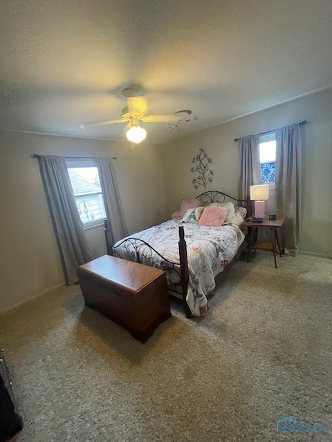 248 Grand Avenue, Tiffin, Ohio image 8