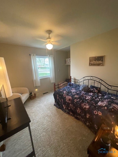 248 Grand Avenue, Tiffin, Ohio image 10