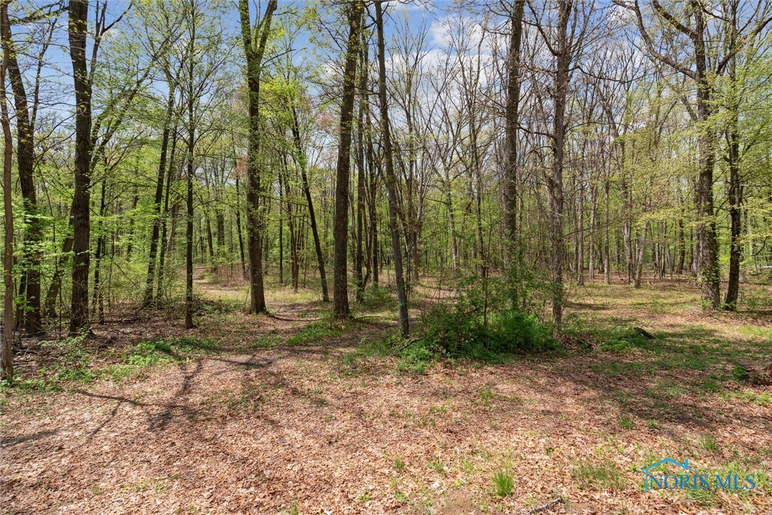12500 County Road L, Wauseon, Ohio image 3