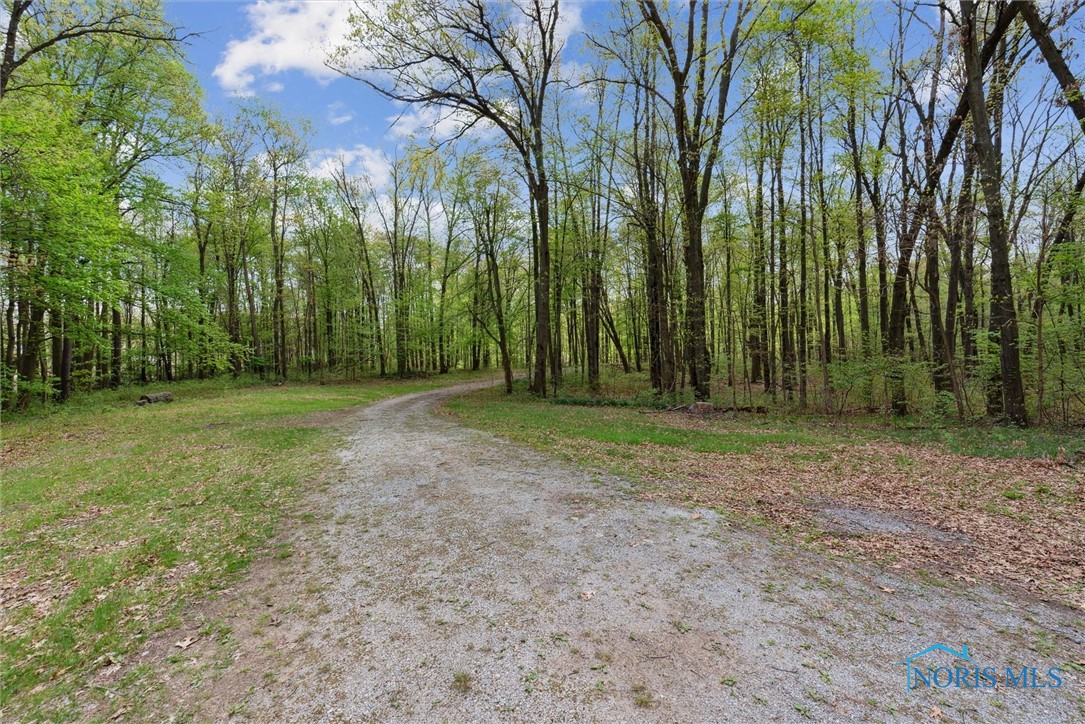 12500 County Road L, Wauseon, Ohio image 34