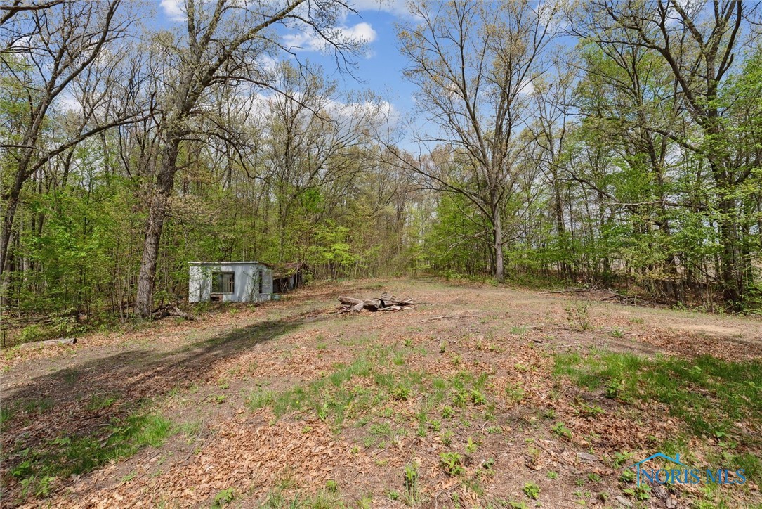 12500 County Road L, Wauseon, Ohio image 2