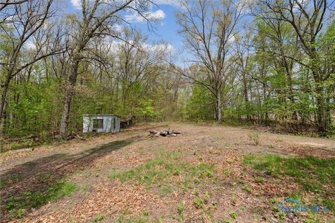 Tiny photo for 12500 County Road L, Wauseon, OH 43567 (MLS # 6129336)