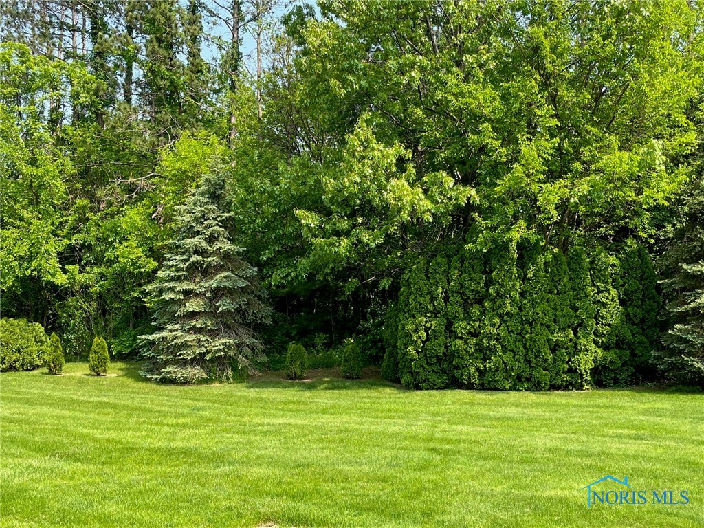 10262 Rue Du Lac Rd, Whitehouse, Ohio image 25