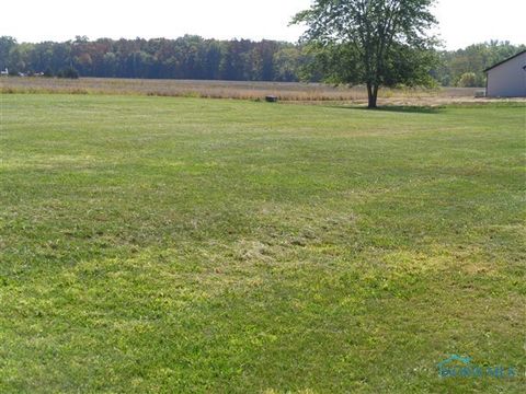 Photo of 10025 Road 17-J, Ottawa, OH 45875 (MLS # 6136652)