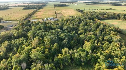 Tiny photo for 0000 Vollmer Rd - Tract 3, Ney, OH 43549 (MLS # 6136841)