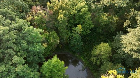 Tiny photo for 0000 Vollmer Rd - Tract 3, Ney, OH 43549 (MLS # 6136841)