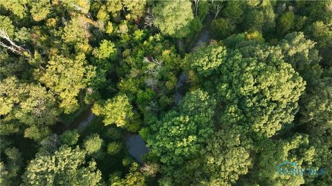 Tiny photo for 0000 Vollmer Rd - Tract 3, Ney, OH 43549 (MLS # 6136841)