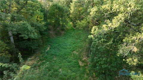 Tiny photo for 0000 Vollmer Rd - Tract 3, Ney, OH 43549 (MLS # 6136841)