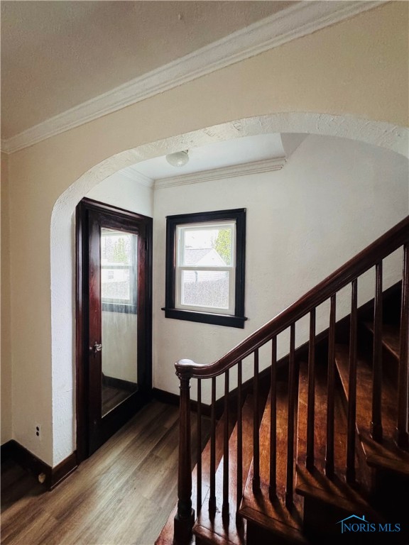 4566 Willys Parkway, Toledo, Ohio image 12