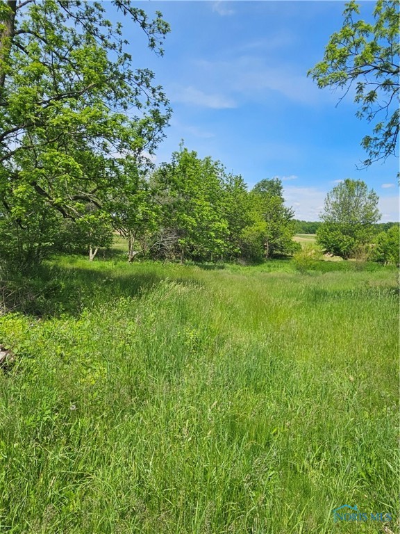 8407 County Road A, Edgerton, Ohio image 8
