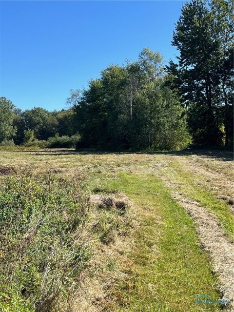 Tiny photo for 344 E Bryant Avenue, Wayne, OH 43466 (MLS # 6136724)