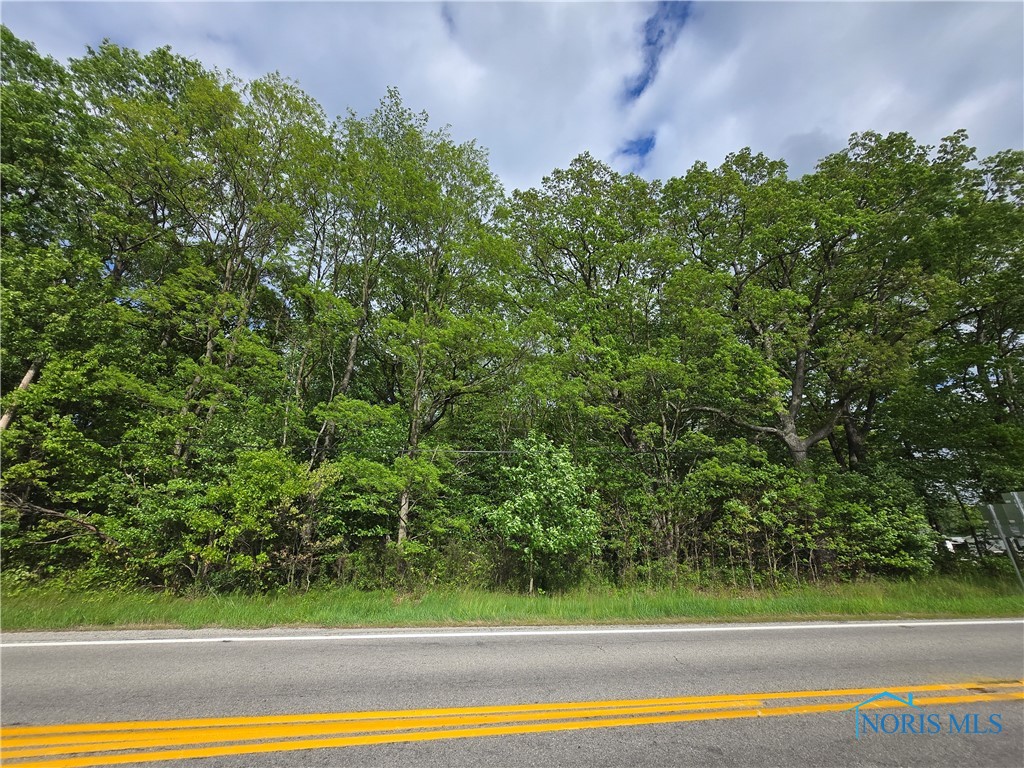 1255 S Berkey Southern Road, Swanton, Ohio image 2
