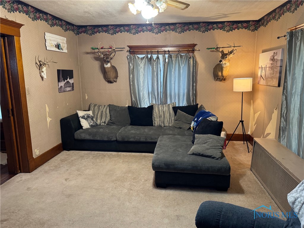 109 E Catherine Street, West Unity, Ohio image 12