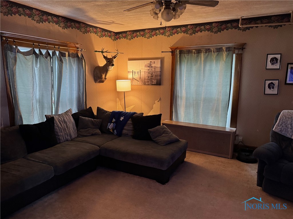 109 E Catherine Street, West Unity, Ohio image 11
