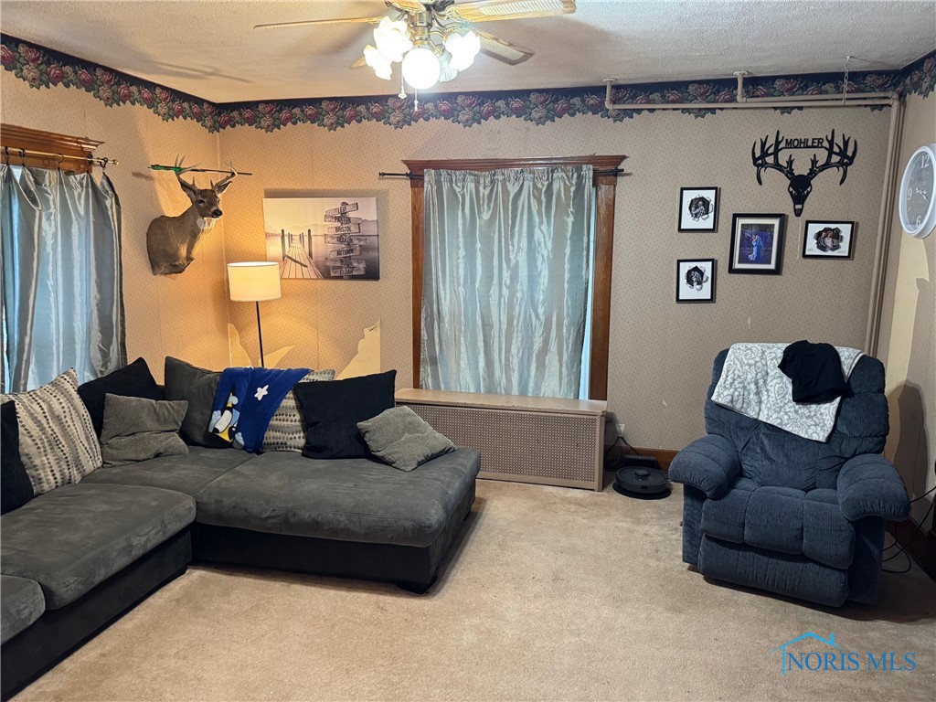 109 E Catherine Street, West Unity, Ohio image 13