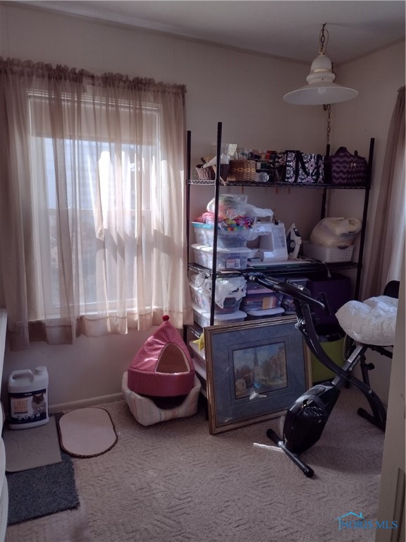227 N Beech Street, Bryan, Ohio image 13