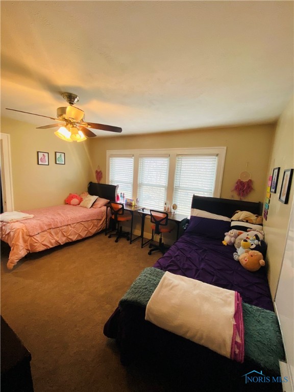 3923 Buell Avenue, Toledo, Ohio image 18