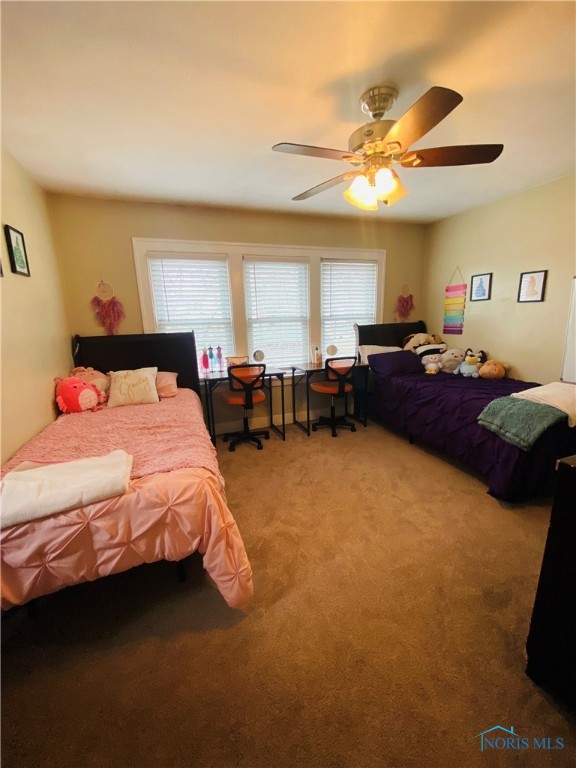 3923 Buell Avenue, Toledo, Ohio image 17