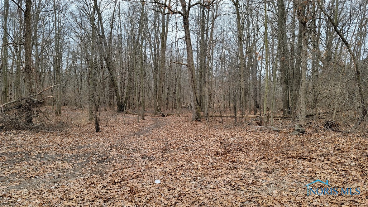 10999 Angola Road, Swanton, Ohio image 1