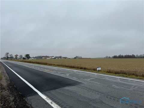 Vacant Land For Sale - State Route 18<br/> Defiance County, Sherwood, OH 43556