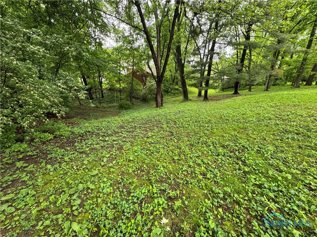 1226 Champe Road, Toledo, Ohio image 28
