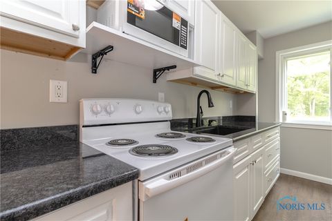 Tiny photo for 12922 Airport Highway, Swanton, OH 43558 (MLS # 6130784)
