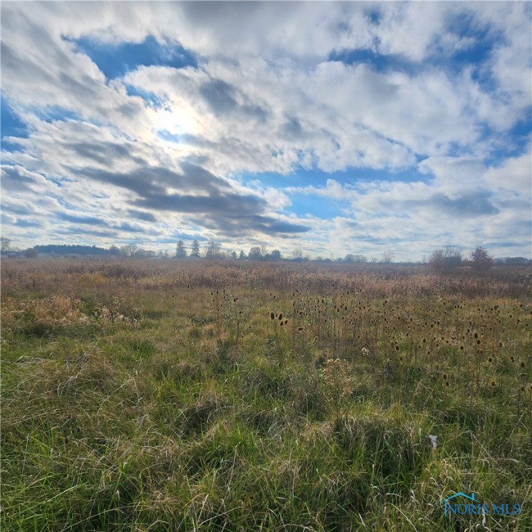 Stetzer (per Acre ) Road, Bucyrus, Ohio image 6