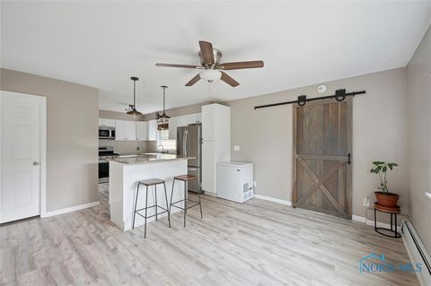 Tiny photo for 127 Bierley Avenue, Pemberville, OH 43450 (MLS # 6136908)