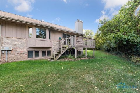 Tiny photo for 9886 Ford Rd. Rd, Perrysburg, OH 43551 (MLS # 6136819)