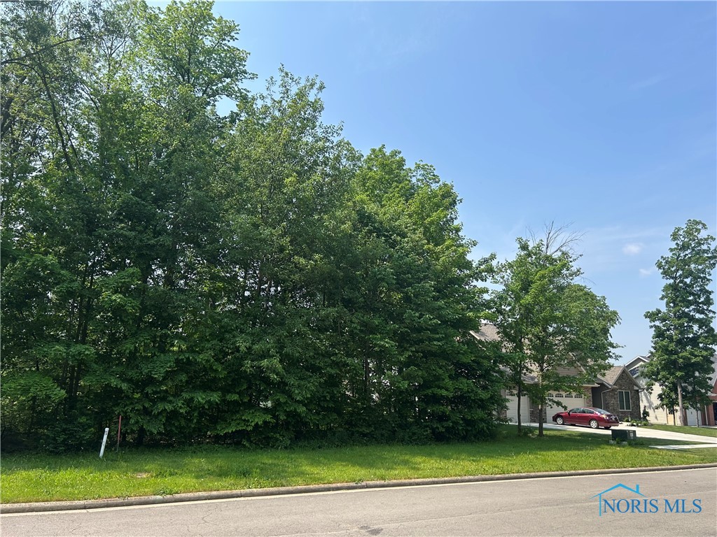 Forest Lane #268, Findlay, Ohio image 4