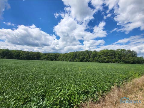 Vacant Land For Sale - Dixie Highway<br/> Wood County, Cygnet, OH 43413