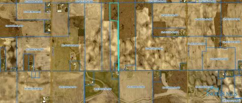 Photo of 0 County Road N, Wauseon, OH 43567 (MLS # 6135635)