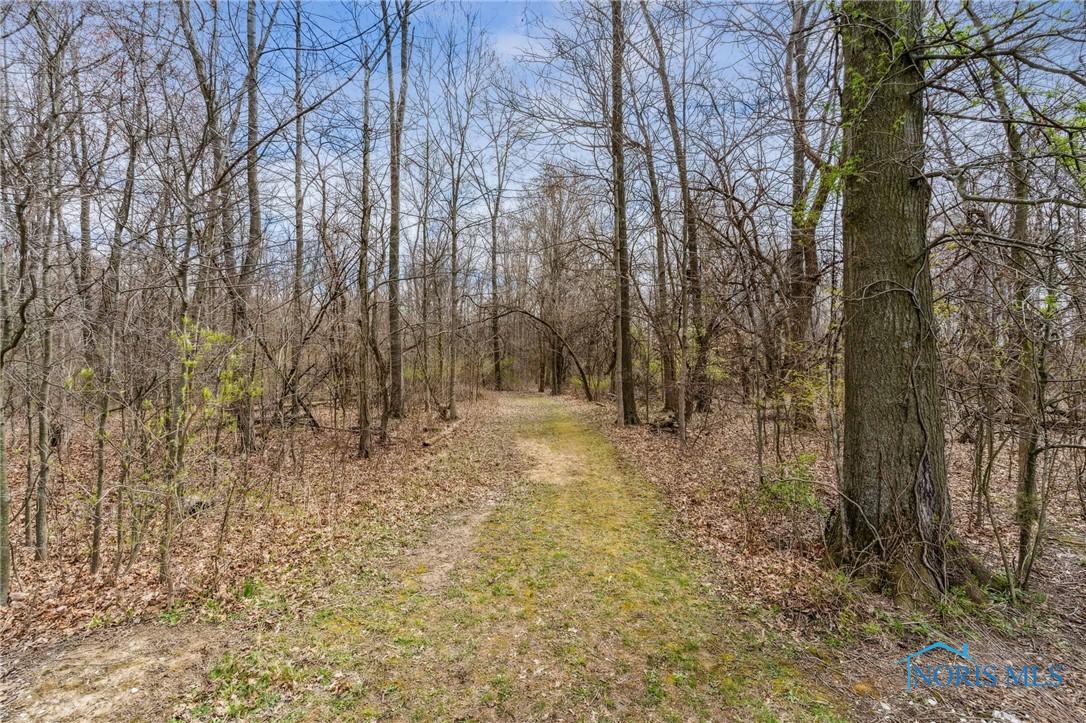 6497 Ch 87, Wharton, Ohio image 20
