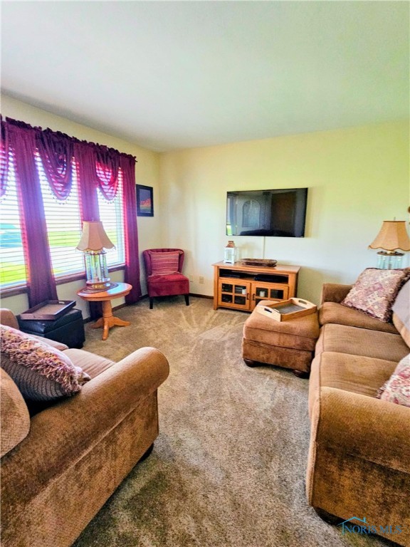 24046 Defiance Pike, Custar, Ohio image 12