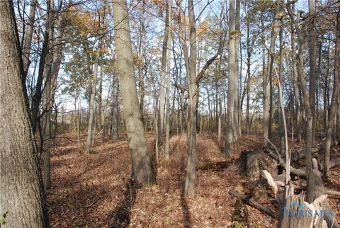Tiny photo for 0 Waterwood Drive, Swanton, OH 43558 (MLS # 6122407)