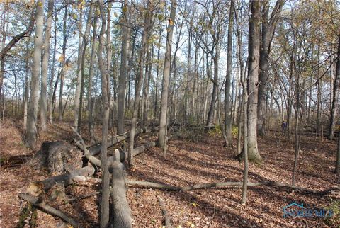 Tiny photo for 0 Waterwood Drive, Swanton, OH 43558 (MLS # 6122407)