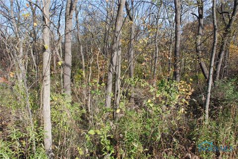Tiny photo for 0 Waterwood Drive, Swanton, OH 43558 (MLS # 6122407)
