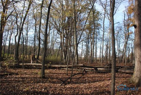 Tiny photo for 0 Waterwood Drive, Swanton, OH 43558 (MLS # 6122407)