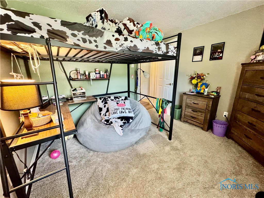 203 Oak Park Drive, Hicksville, Ohio image 14