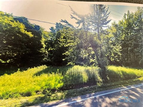 Photo of 4303 S Berkey Southern Road, Swanton, OH 43558 (MLS # 6132374)