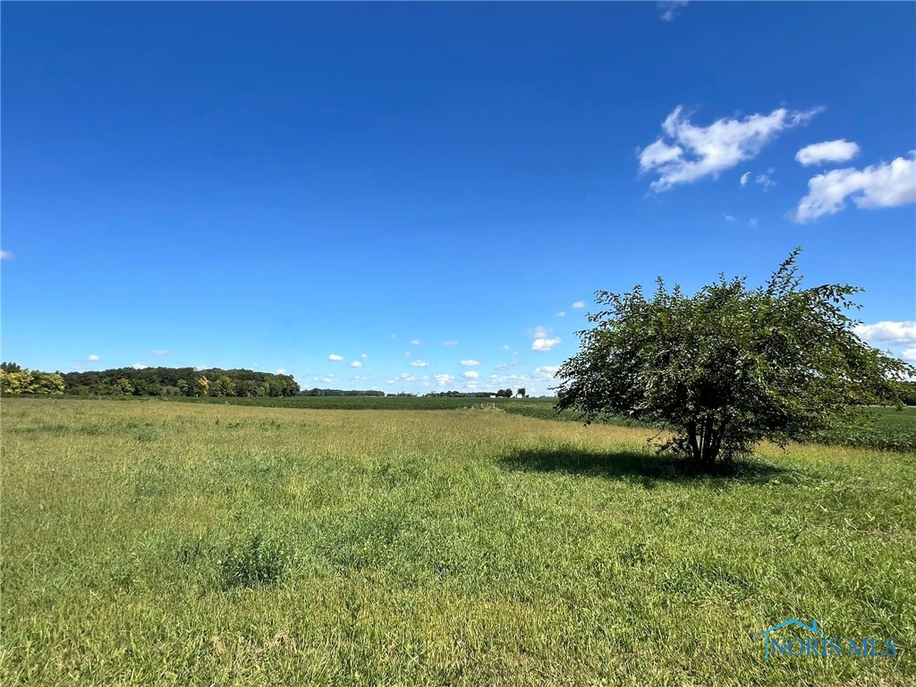 Findlay, Ohio 45840, United States, 4 Bedrooms Bedrooms, ,3 BathroomsBathrooms,Residential,Contingent,216229