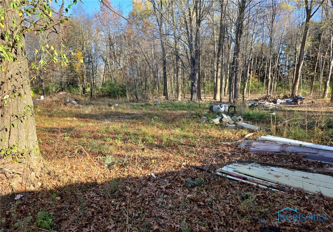 3150 County Road F, Swanton, Ohio image 1